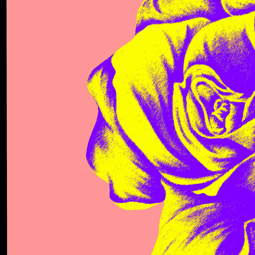 Hump Day Messages (and some descipline&nbsp;required)